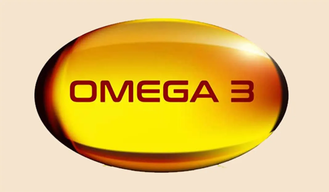 Omega 3 thường có nhiều trong các loại cá béo