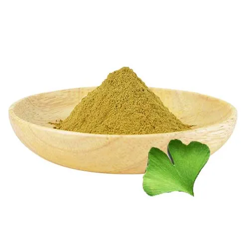 thuoc ginkgo biloba 2 1-Austar-pharma