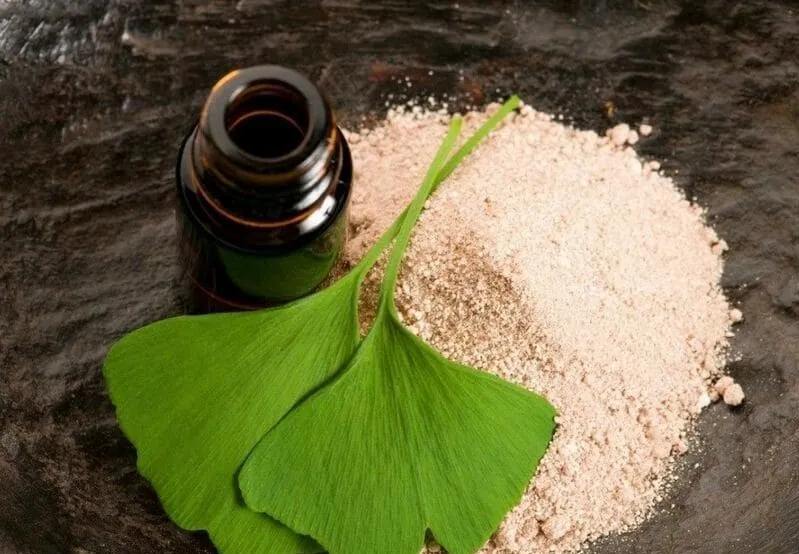 Thuốc Ginkgo Biloba có tác dụng hỗ trợ sức khỏe não bộ