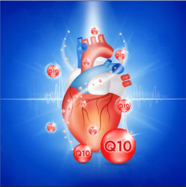 CoQ10 là một chất chống oxy hóa mạnh