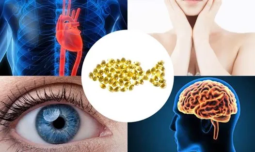 Omega 369 là sự kết hợp hoàn hảo giữa ba loại axit béo