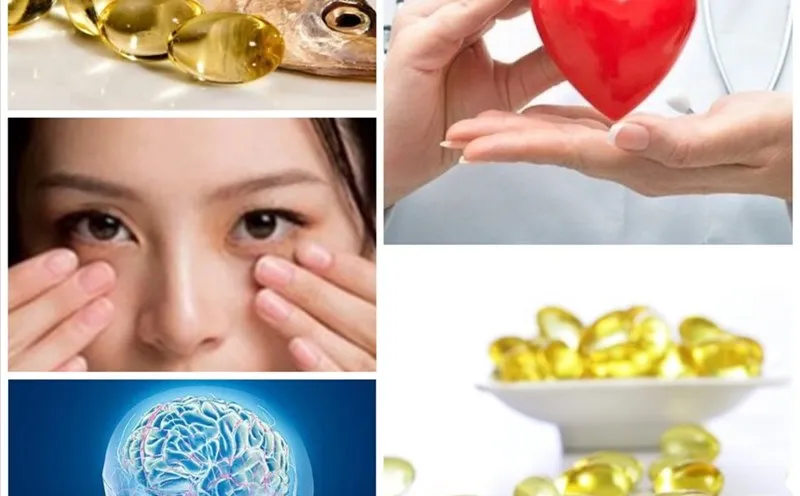 Omega 3 chiếm một phần quan trọng trong lớp võng mạc của mắt