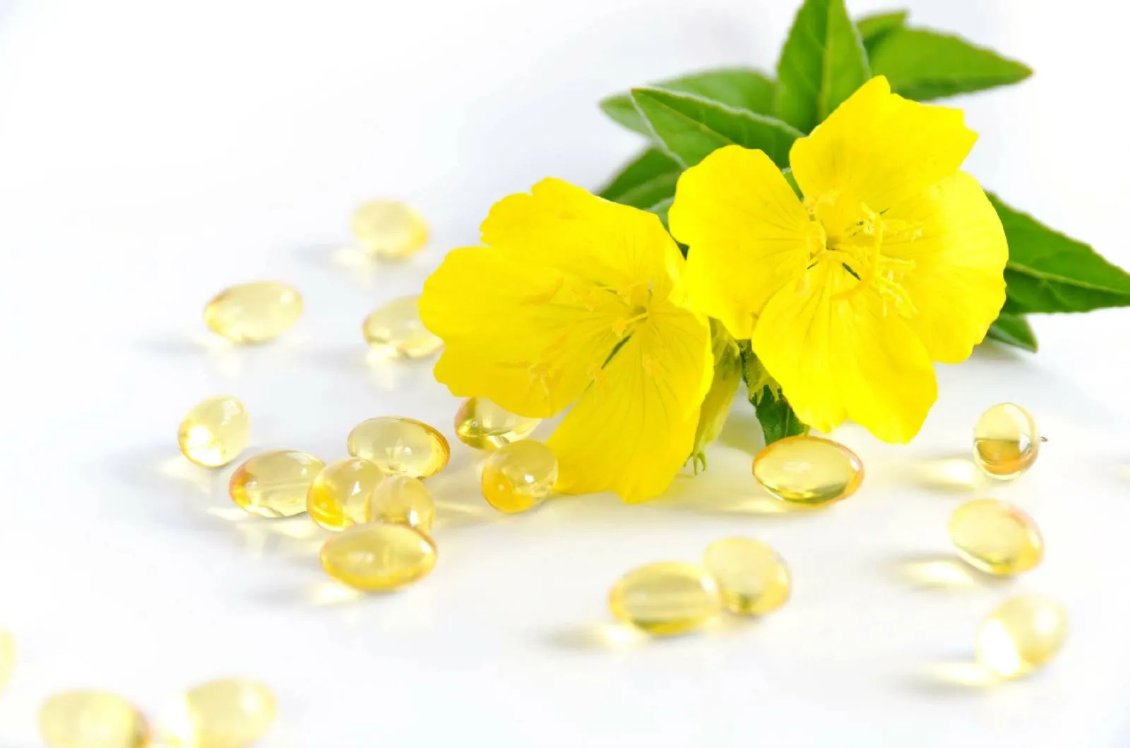 Hoa anh thảo được sử dụng trong y học cổ truyền để điều trị nhiều vấn đề sức khỏe