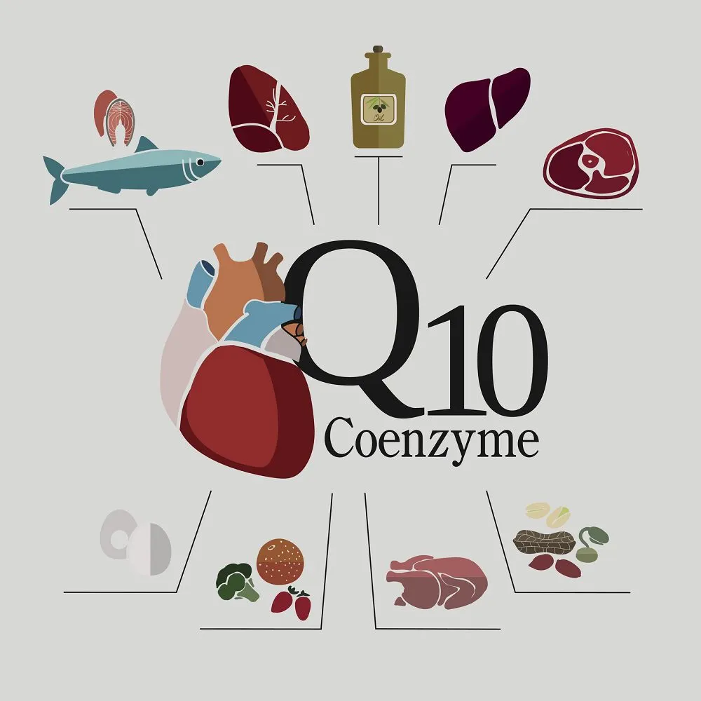 CoQ10 giúp bảo vệ tim khỏi tổn thương do stress oxy hóa