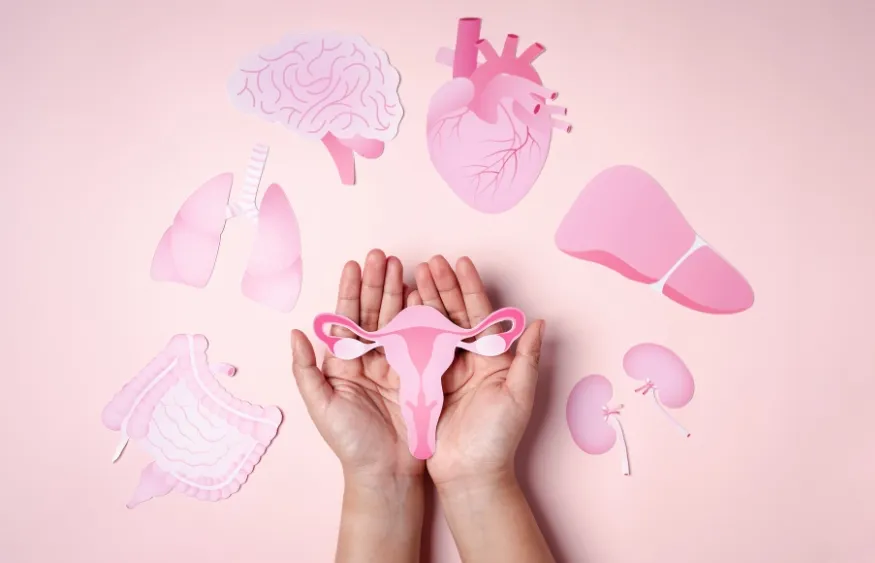 Cân bằng nội tiết tố và giảm triệu chứng tiền kinh nguyệt (PMS)