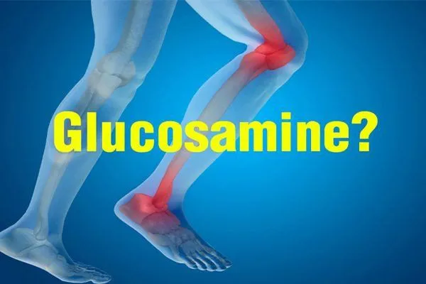 Glucosamine đóng vai trò quan trọng trong quá trình xây dựng và tái tạo sụn khớp