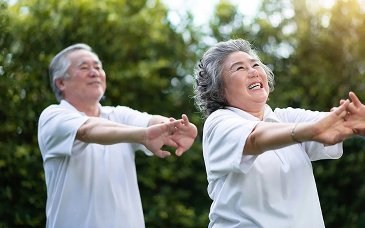 bo nao Ginkgo Biloba 2-Austar-pharma