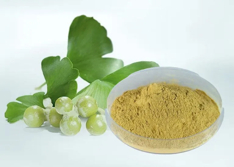 ginkgo biloba-Austar-pharma