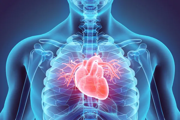 Hỗ trợ cải thiện chức năng tim ở người bị suy tim mãn tính