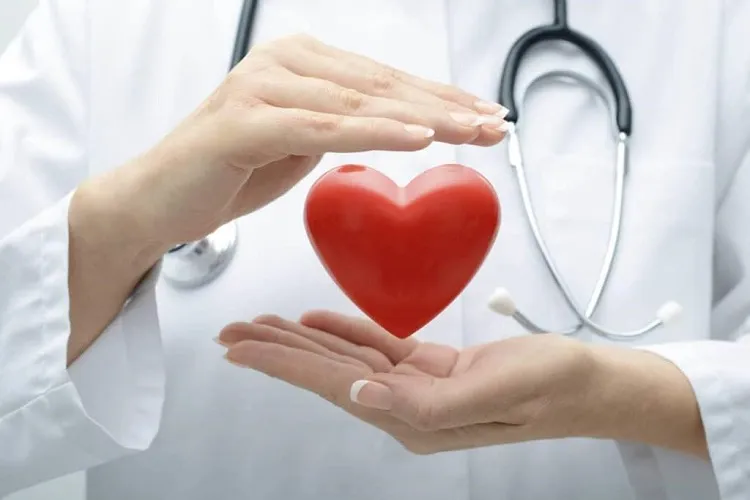 CoQ10 đảm bảo cung cấp năng lượng đầy đủ cho cơ tim
