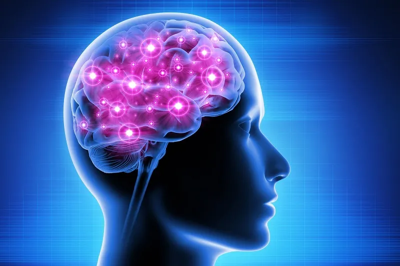 Hỗ trợ tăng cường lưu thông máu lên não