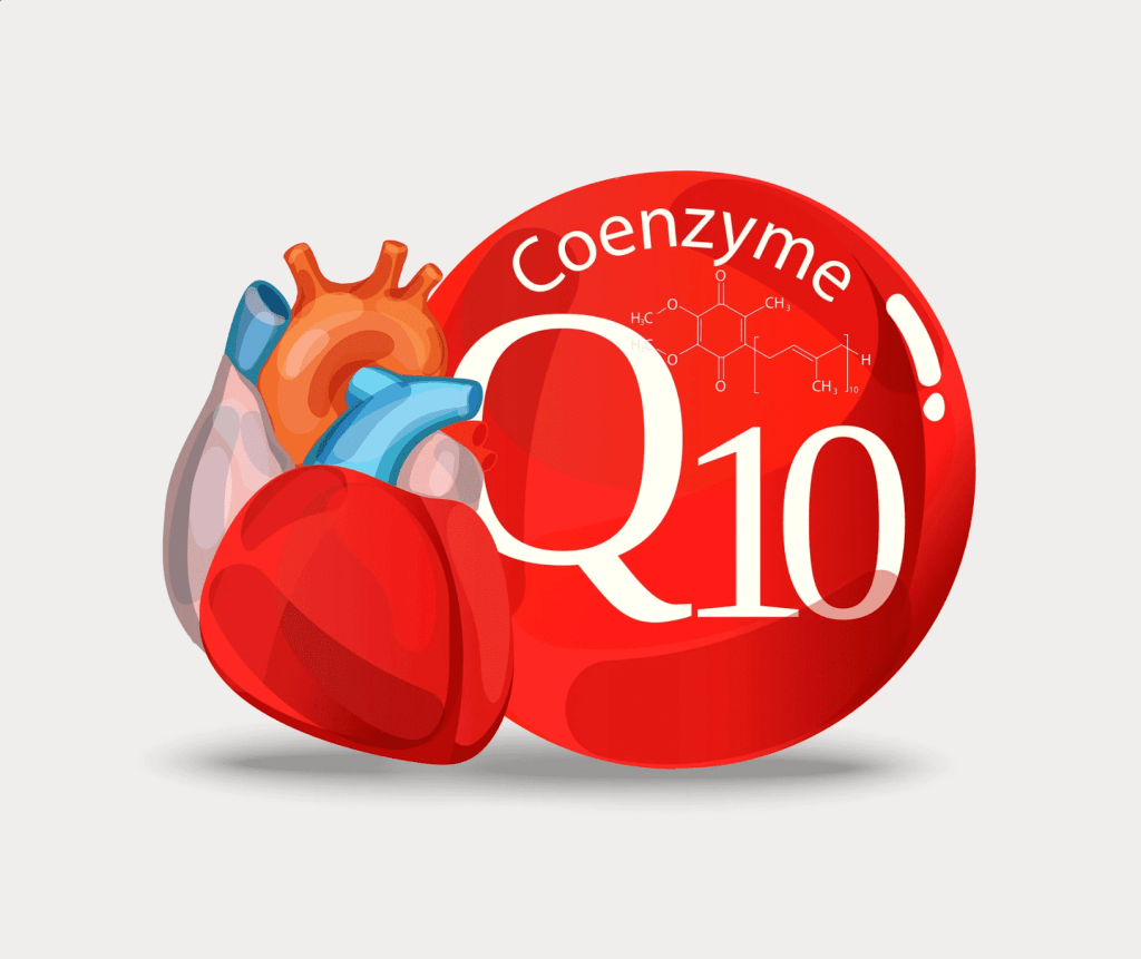 CoQ10 (Coenzyme Q10) dưỡng chất quan trọng cho sức khỏe tim mạch